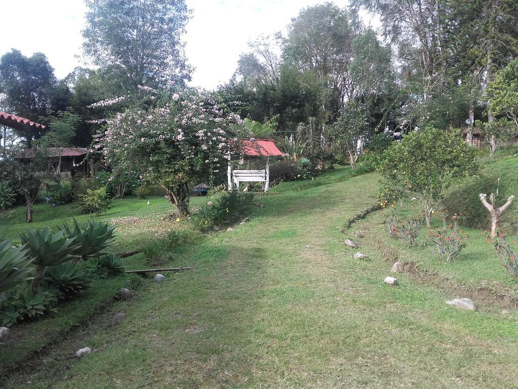 La Gaviota Bnb Bed & Breakfast Филандиа Екстериор снимка